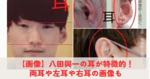 八田與一の耳の画像1